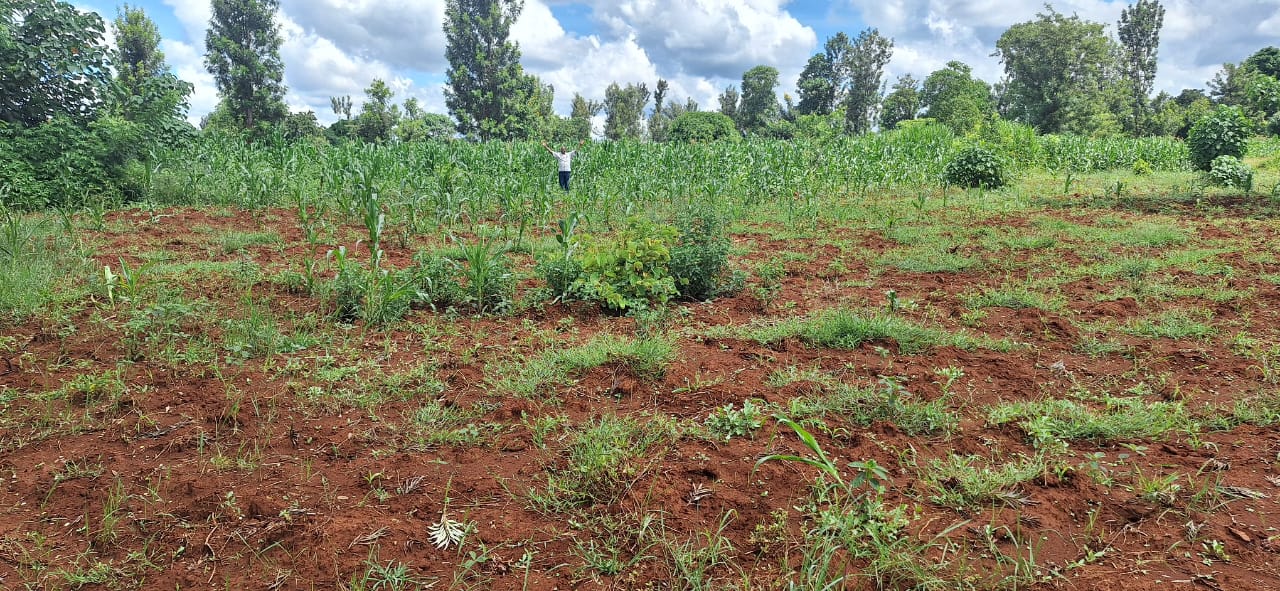 Contrast between farming methods