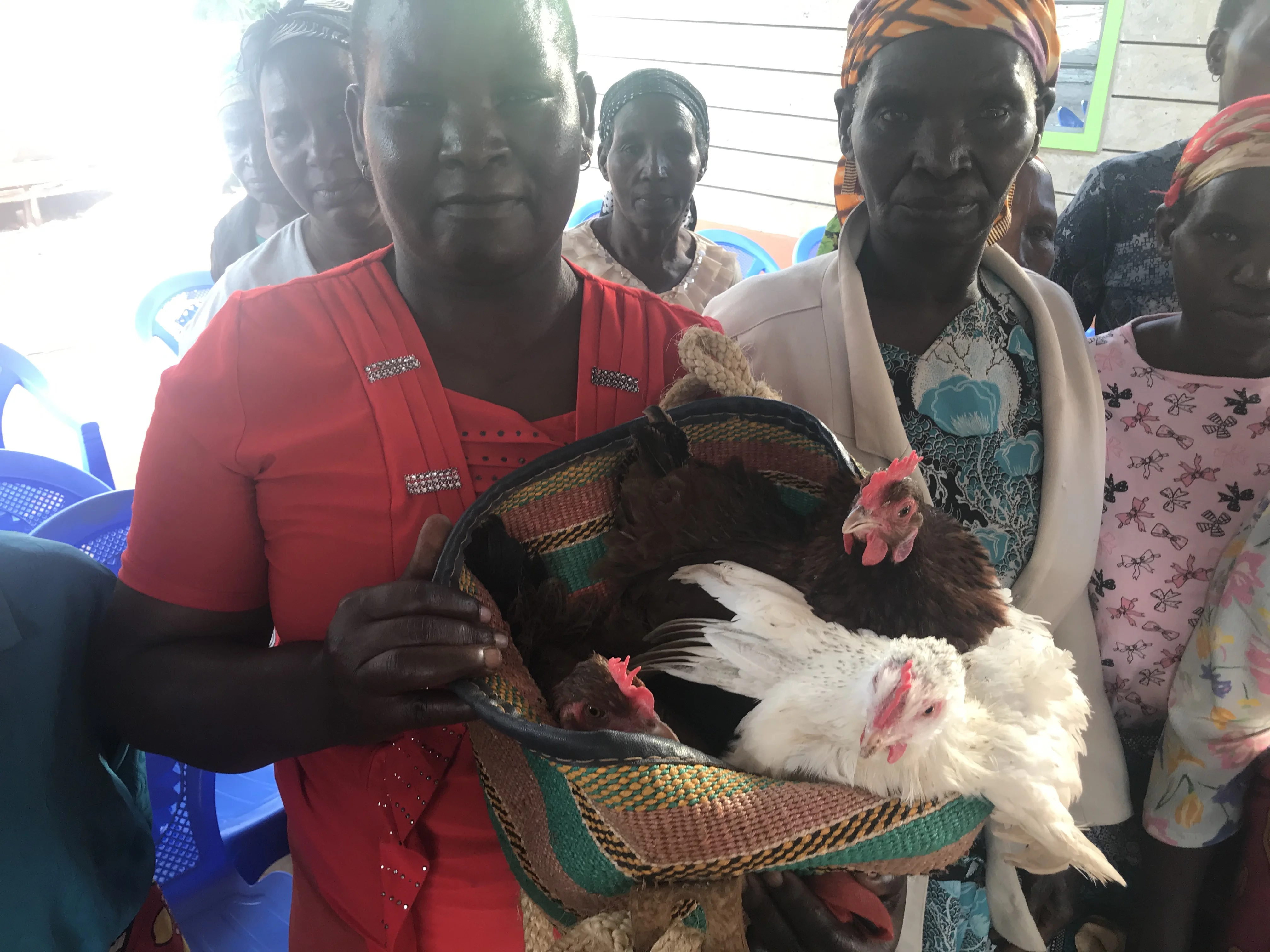Picture of Some Widows holding basket with three chickens