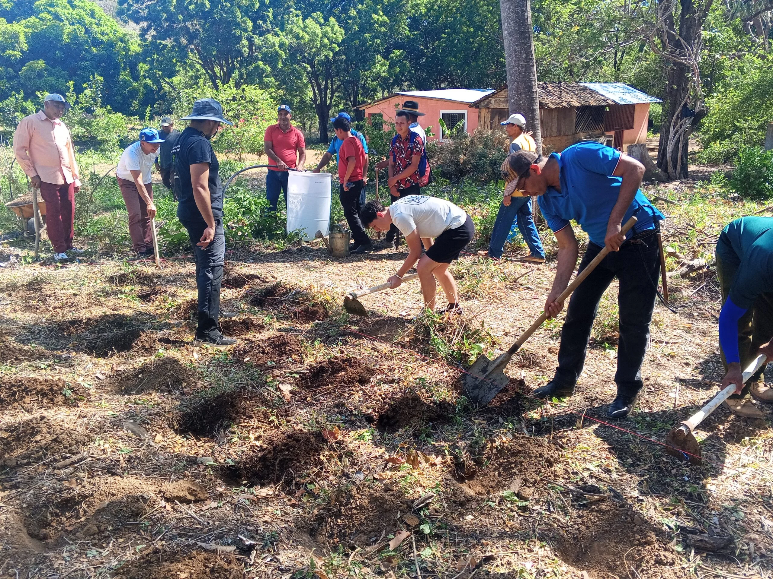 Farmers in AC Nicaragua digging in the field